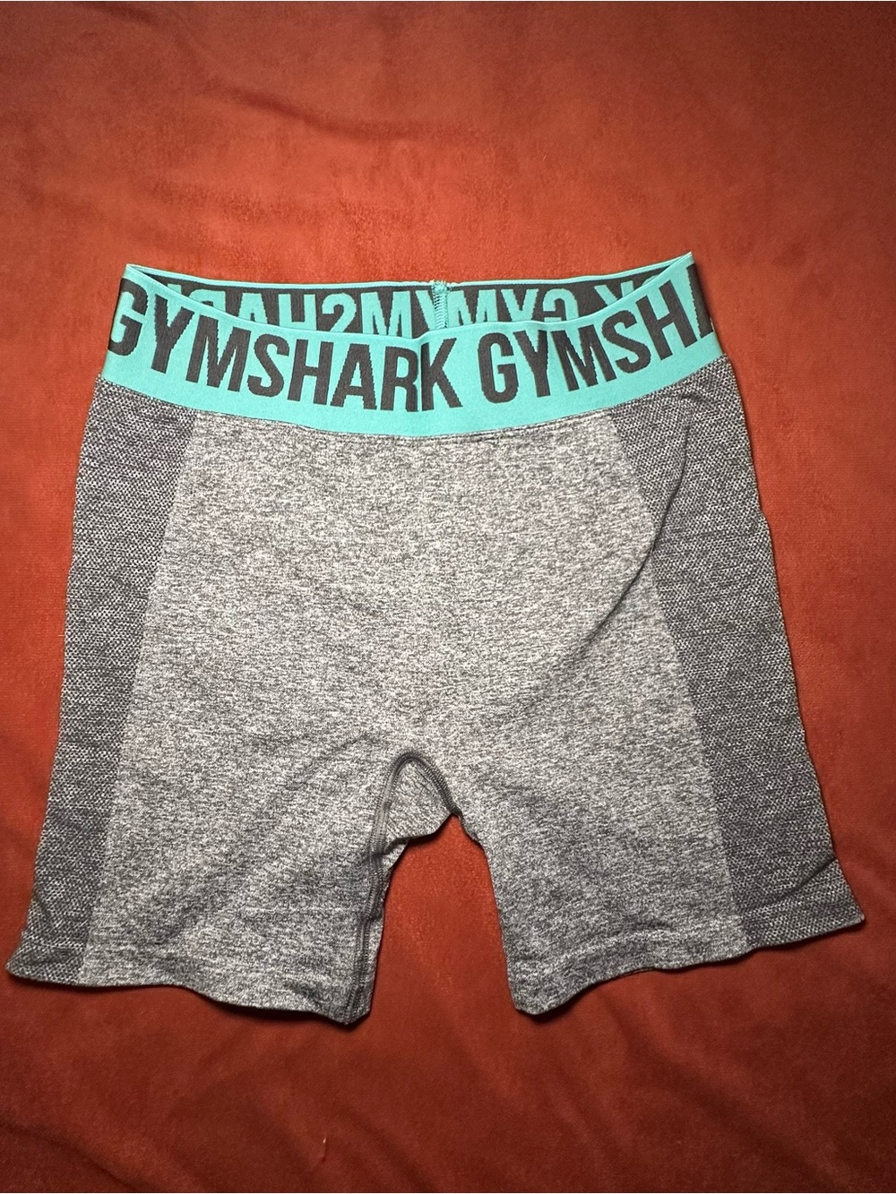 Gymshark Gray Seamless Bike Shorts with Teal Logo Waistband